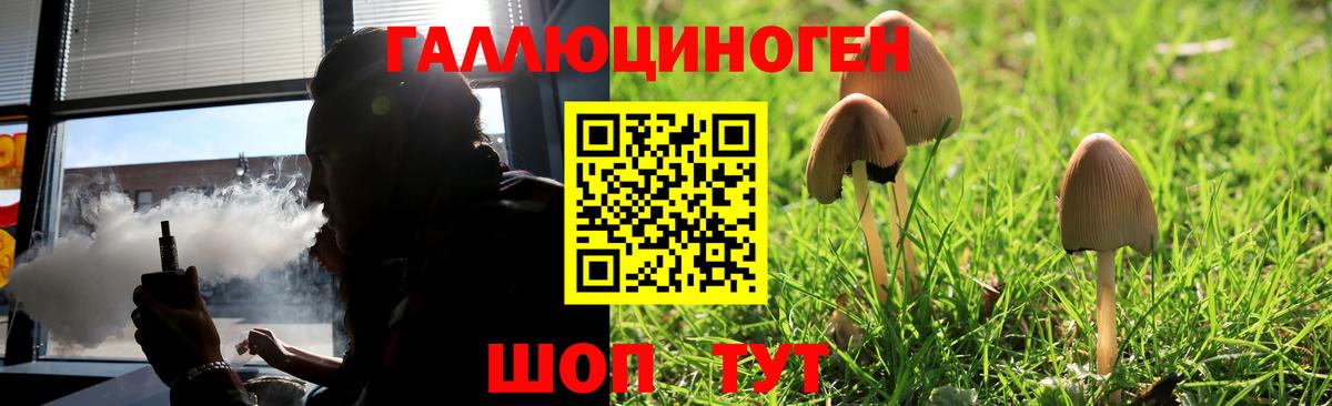 Псилоцибиновые грибы мицелий  дарнет шоп  Псилоцибиновые грибы Psilocybe  Гурьевск  Вход с VPN 