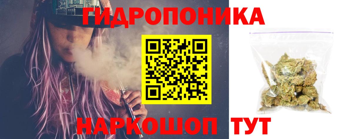 Каннабис индика Гурьевск